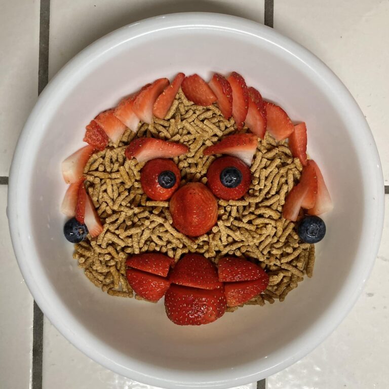 Cereal art by Bob Farkas